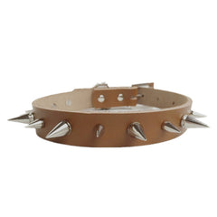 Dog Collar with Spikes